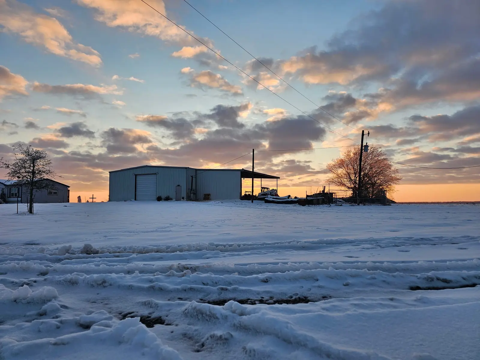 From Standing Tree to Finished Table: What Happens at Our Sawmill